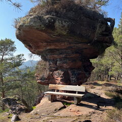 23-03-01 13-13-04 4524